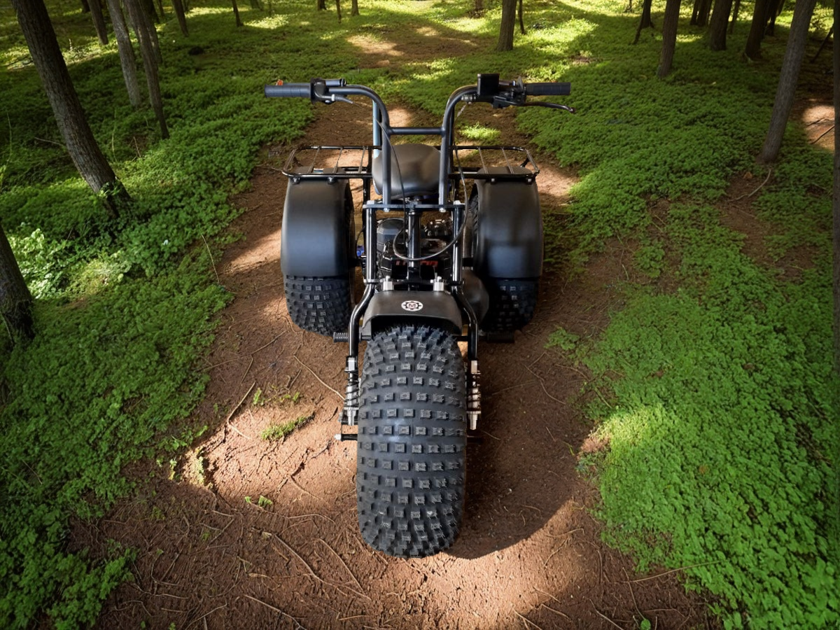 <span style="font-weight: bold;">Трайк Dominator</span>